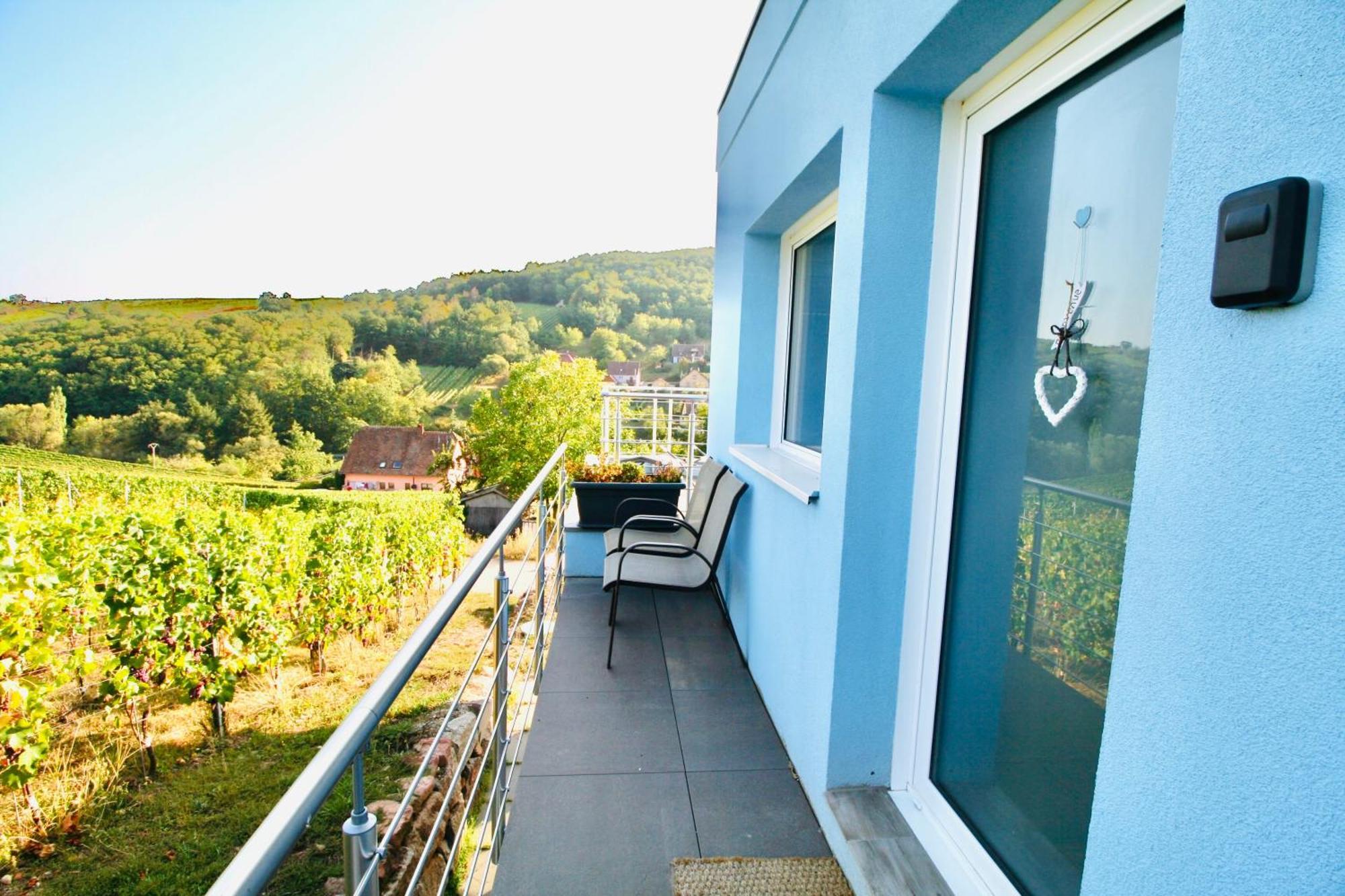 Janea Big Blue House Appartement Reichsfeld Buitenkant foto