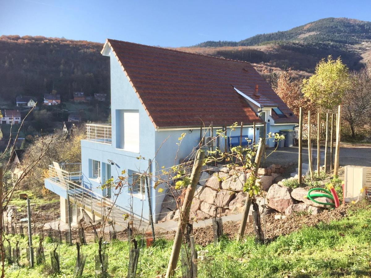 Janea Big Blue House Appartement Reichsfeld Buitenkant foto